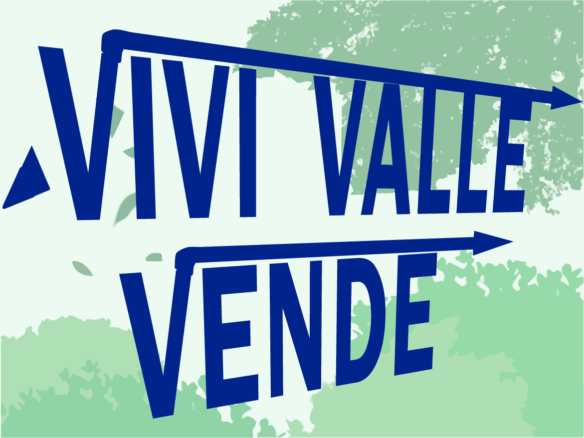 Vivi Valle Vende